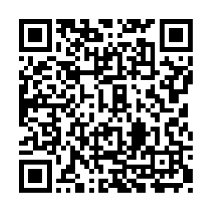 那是不是再推迟一下腐符尸气封印球发作的时间二维码生成