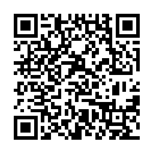 那是专门修复因为自身修炼问题伤害到经脉的伤势的丹药二维码生成