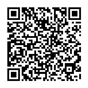 那是乾坤锤 重达十万斤的乾坤锤 而且已经有了灵性 怎么掉下來了 二维码生成
