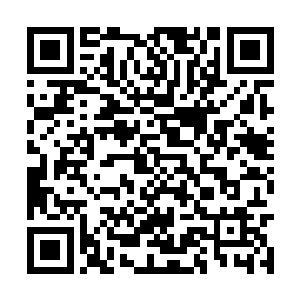 那是他们将各自传承的剑道领悟到一定程度的标志二维码生成