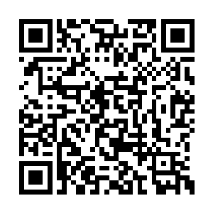 那是他们舍不得把装进自己口袋里的资源掏出来二维码生成