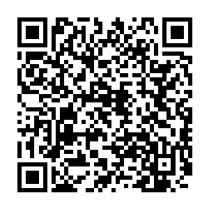 那是他们雾蝉一族的几个生死境大能经过一番大战才抢来的一片海域二维码生成
