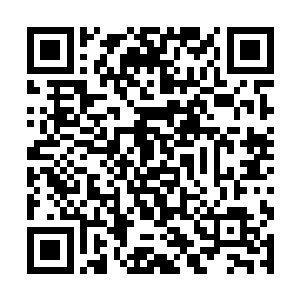 那是你我都已熟悉的旋律所有的爱情只能有一个结果二维码生成