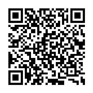 那是准备在她十八岁生日的时候送她的生日礼物二维码生成