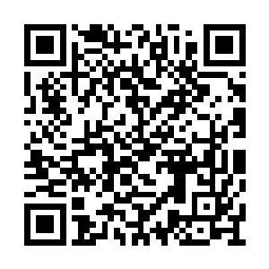 那是刚才许浩然御剑将那条黑蛇斩成几段的时候二维码生成