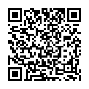 那是千万艘星舰同时狠狠摧残着自己的动力单元二维码生成