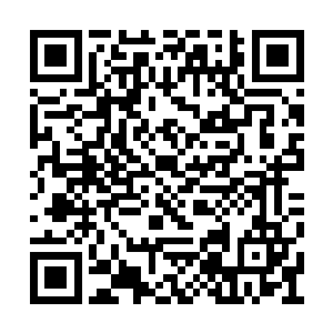 那是又有人来劝谢老夫人和谢大夫人离开矿山了二维码生成