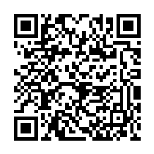 那是因为他从小就被师父给逼着整天学习巫门术法二维码生成