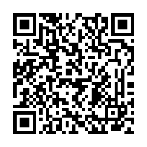 那是因为他们清新文化公司无法同时兼顾两部戏剧二维码生成