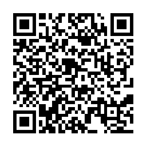 那是因为你使用本尊的力量过多而携带的副作用而已二维码生成