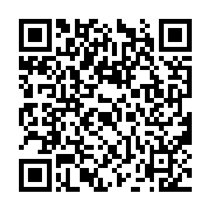 那是因为刚刚那下楚旬根本就不是真的动用了杀招二维码生成