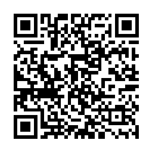 那是因为在他神国之中有着地藏相身和菩提树的存在二维码生成