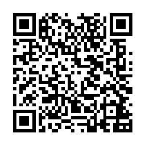 那是因为堕龙认为只有自己才能带领人类终结末世二维码生成