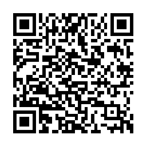 那是因为她想要的是比定王的宠爱更重要的东西二维码生成