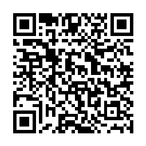 那是因为她这次制出的符箓并不是攻击或防守的符箓二维码生成