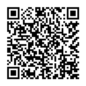 那是因为妖兽都有极强的领地意识……这一片区域应该是裂天兽的地盘二维码生成