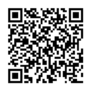 那是因为我们北都学府很久没有出现超越半圣层次的学员了二维码生成