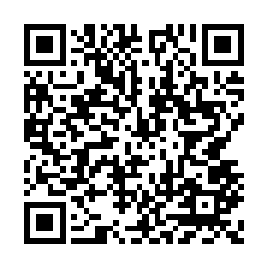 那是因为我现它的出现干扰了龙藏主城的传送阵二维码生成