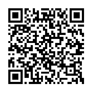 那是因为真实没有他们四个能够看到眼里的东西二维码生成