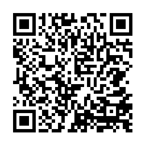 那是因为说这话的人都不明白柳逸尘是个什么样的人二维码生成