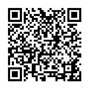 那是因为这木牌的材质是正是千年玄阴木所制成的二维码生成