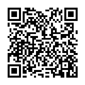 那是因为这样才能让我们又看到美丽的孟医师你啊~~二维码生成