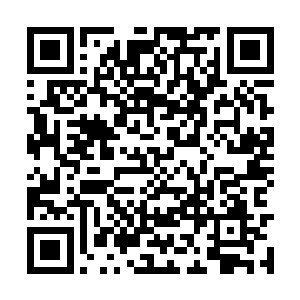 那是在有理事弃权的情况下理事长才有最终拍板权二维码生成