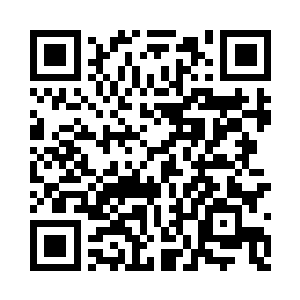 那是太上君瑾在武道小世界得到的气运力量二维码生成