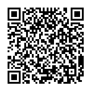 那是她这段时间收集的所有关于当初她们两人被挑拨被陷害的证据二维码生成