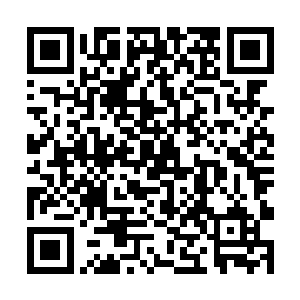 那是张东城与沃尔特花了很长时间才完美搭配的镜头二维码生成