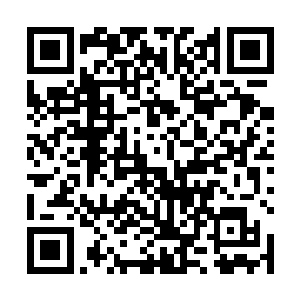 那是当年朱雀主神和逆天大帝一战留下的海市蜃楼场景二维码生成