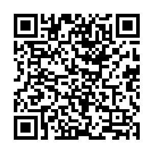 那是所有修行者在进阶圣阶的时候所面临的最大障碍二维码生成