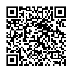 那是斯蒂芬在用唯一的一枝枪保护着山顶上的每一个人二维码生成