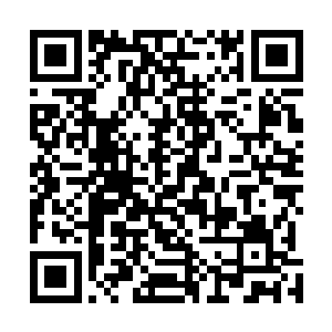 那是残留在长宇宇宙缩影的所有星辰中的修士意念形成的二维码生成