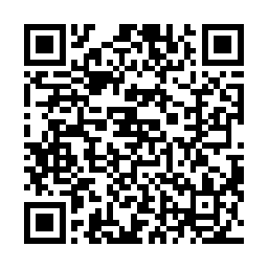 那是每个老师都希望看到自己的学生一直在努力做的事情二维码生成