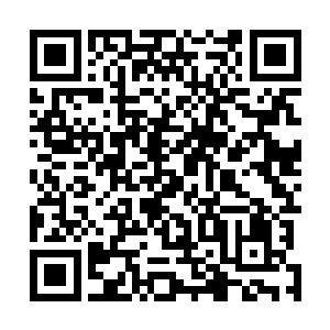 那是沈砚山说他那对傻鸟的话……她怎么能和沈砚山学啊二维码生成