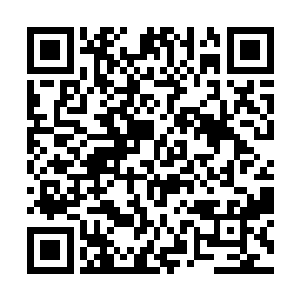 那是法阵在全力激发后各处阵眼一起迸发能量的表现二维码生成