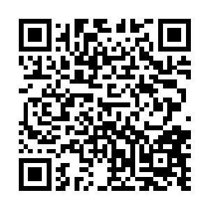 那是照日天宗的几个修为较弱的弟子在花瓣之下惨遭屠戮二维码生成