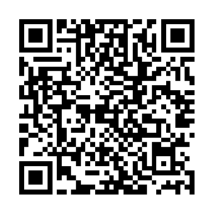 那是甲板上站着一个个互相搀扶着挺直了腰杆的勇士的渔船二维码生成