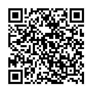 那是老树枝条与紫光隔着几米的距离灵力接触的暴响二维码生成