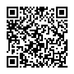 那是联邦军在整场战争中生擒的敌方军阶最高者二维码生成