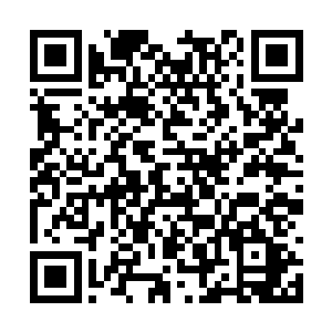 那是能够将修士体内的真元力改变成仙元力的仙丹二维码生成