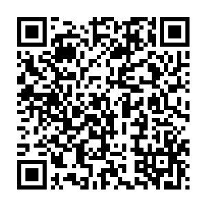 那是自己留给他们的先祖血脉和他们一出生就拥有的先天无漏之体二维码生成