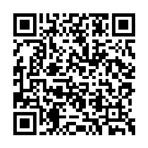 那是足以让它们的生命发生进化跃迁的稀世珍宝二维码生成