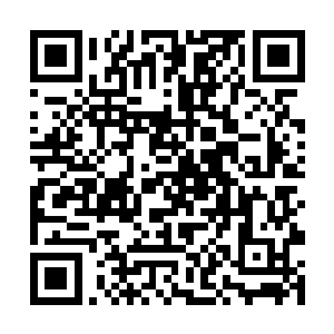 那是那只凶兽用强有力的后腿蹬踏地面时造成的动静二维码生成