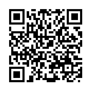 那是龟族大长老临死前遗留下的执念二维码生成