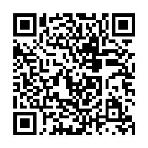 那暮光大陆随便下来个氏族族长就能将墉陆收入囊中了二维码生成