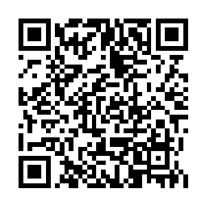 那曹子孝也不过凭着一腔热血做最后无谓的挣扎二维码生成