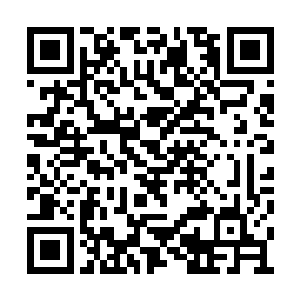 那曹家禁卫军和天地盟最后还是卷着尾巴回去了二维码生成