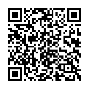 那最后活下来的仙人更是把茉莉仙子的所作所为二维码生成